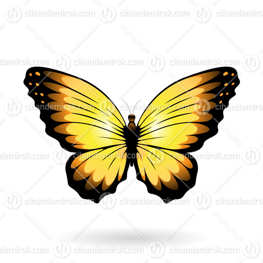 Yellow and Black Butterfly Illustration with Round Wings