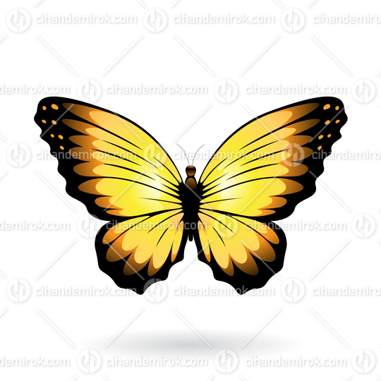 Yellow and Black Butterfly Illustration with Round Wings