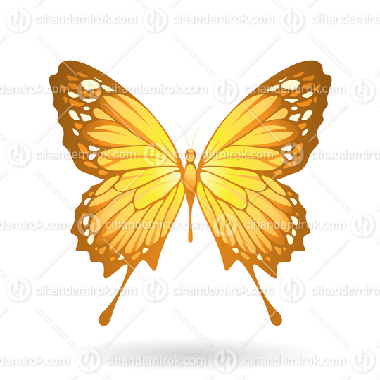 Yellow Butterfly Illustration