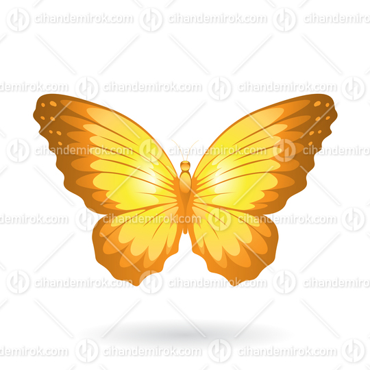 Yellow Butterfly Illustration with Round Wings