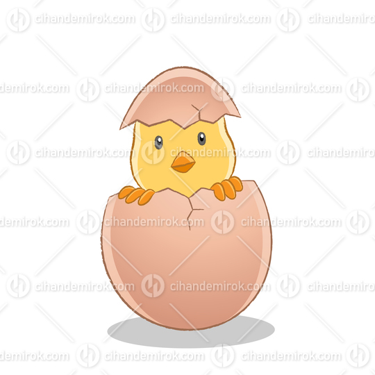 Yellow Easter Chick Have Just Broken Egg Vector Illustration